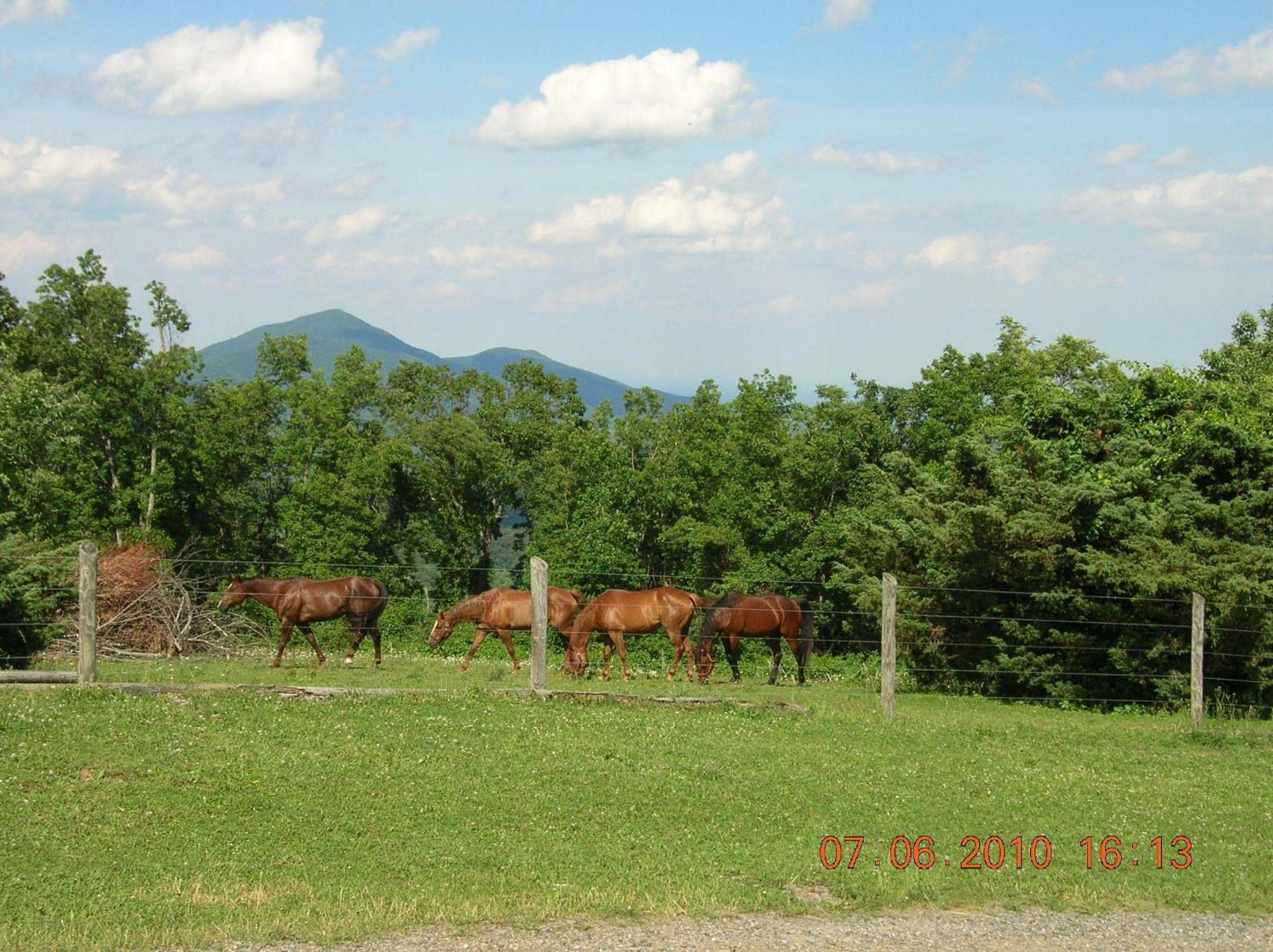 Bent Mountain Lodge Roanoke Exterior photo